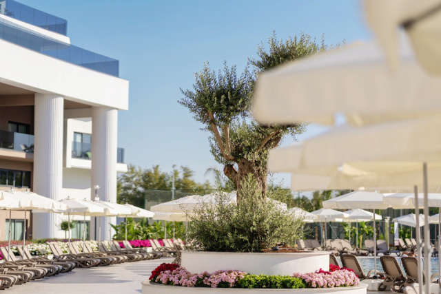 
MIRACLE RESORT
