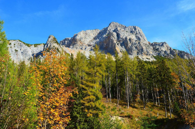 
Schneeberg – vízesés, panorámák és hegyi élmények a Salamander-vasúttal
